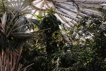 Gew&auml;chsh&auml;user im Botanischen Garten Kopenhagen 