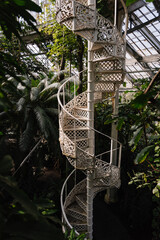 Gew&auml;chsh&auml;user im Botanischen Garten Kopenhagen 