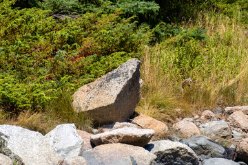 Fototapeta na wymiar rocks on a shoreline