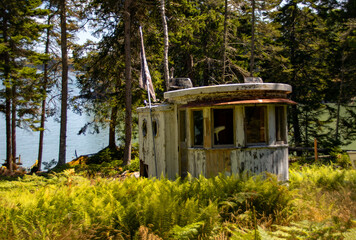 Old wheelhouse in a forest © Susan