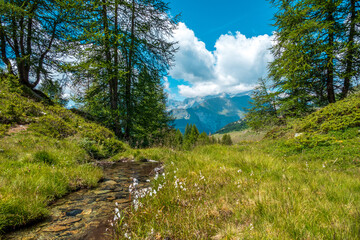Fototapeta na wymiar Beautiful aosta valley, italy, in summer