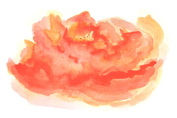 Watercolor flower, bloom, art decoration, sketch. Illustration hand drawn modern