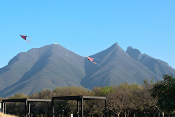 Flying kites in the park with mountains in the background