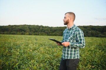 Agronomist inspects soybean crop in agricultural field - Agro concept - farmer in soybean plantation on farm