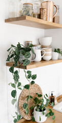 Kitchen shelves with plants, various white ceramic and glass jars. Open shelves in the kitchen. Kitchen interior ideas. Eco friendly kitchen, zero waste home concept