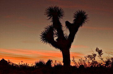 Sunset in desert