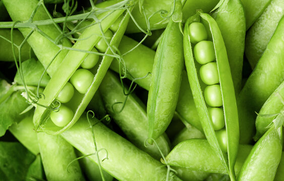 background of fresh green pea pods