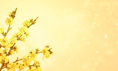 8 March or Easter greeting card with yellow branch of flower