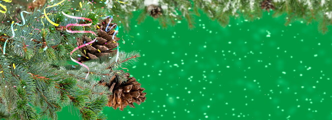 Christmas tree branch with cone on snowy green bakcground copy space template banner