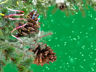 Christmas tree branch with cone on snowy green bakcground copy space template banner
