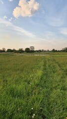 Jezioro w polu © Piotr