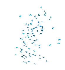 A flock of blue birds. Vector illustration