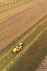A yellow combine harvester in a grain field. Agriculture harvesting crop season. Aerial view from drone. High quality photo