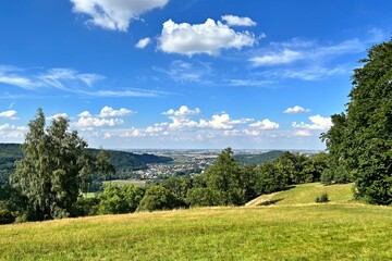 view from the park to the landscape in summer