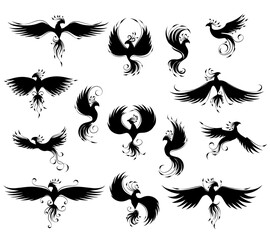 Phoenix black silhouettes - obrazy, fototapety, plakaty