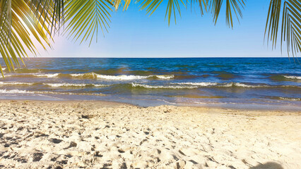 beach and exotic sea with palm trees in summer