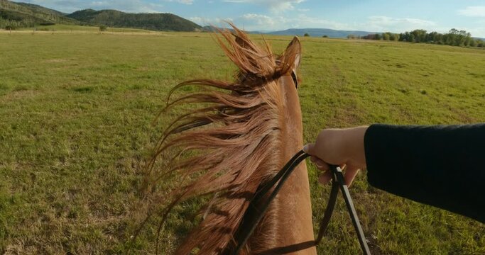 POV shot of woman horseback riding through meadow at sunset