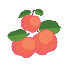 Three apples with leaves in flat style. Red fruits and green leaves on white background. Vector illustration.