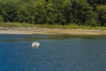 2022-07-25 A SMALL WHITE MOTOR BAOT ANCHORED IN A COVE OFF OF BAINBRIDGE ISLAND WITH TREES IN THE...