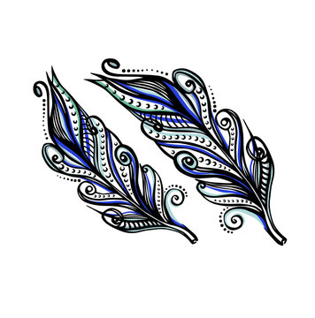Digital clipart of feathers in vector. Two beautiful colored exotic feathers isolated on white background.