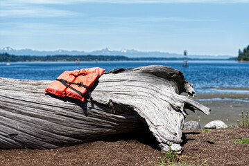 an abandoned life vest or life preserver lays aimlessly on driftwood