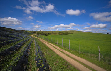 Fototapeta na wymiar road, track, trail, passage, path