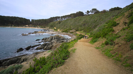 Obraz premium View of rocky coast, Algarrobo (Chile) during winter morning, walking track along the coast 