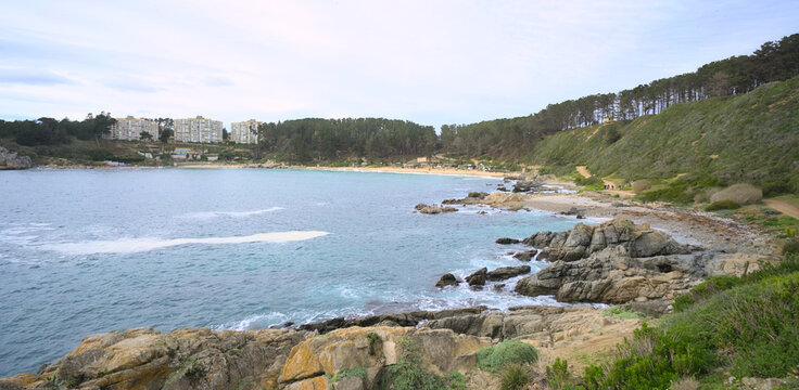 Algarrobo Bilder Durchsuchen 1,460 Archivfotos, und