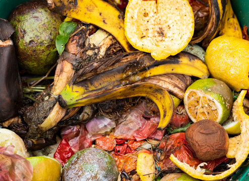 Fruit And Vegetable Peelings - Organic Waste Food Leftovers