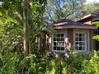 house window hidden behind trees and jungle