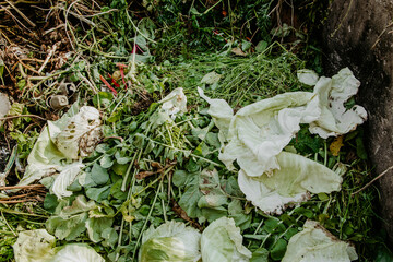 Compost pit for food waste. Eco-friendly consumption, recycling. Concept of organic fertilizers for...