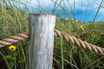 Wooden posts and thick rope line the path along this beach path lined with tall grass and pretty yellow flowers. Glimpses of a blue summer sky above. Summer scene, close-up, no people. Florida Beach