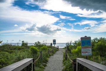 Path along the sea oat grass, flora and fauna for this southwest Florida beach. Location is Turtle...