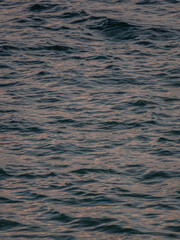 Naklejka premium Pacific Ocean 