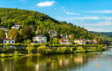 Fototapeta na wymiar View of the Neckar river in Heidelberg - Baden-Wurttemberg, Germany