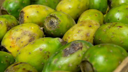 frutos del nopal, tunas,texturas de color verde