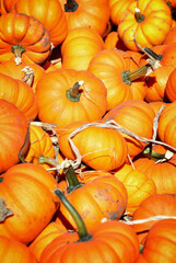 Pumpkins 1