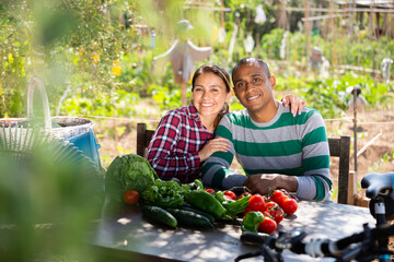 Happy married couple resting at rustic table after harvesting vegetables