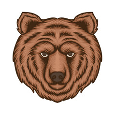 Head of grizzly bear. Hand drawn Illustration vector of a head grizzly bear. Good for mascot logo, printing, label, sticker, t-shirt design etc.