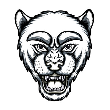 Leopard angry face. Vector illustration of jaguar head. Angry Panther Line art.