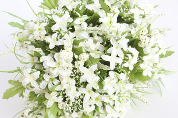 Bouquet of white small flowers