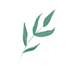 green leaves branch watercolor illustration