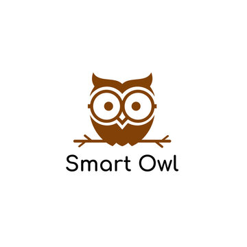 SMART OWL ILLUSTRATION