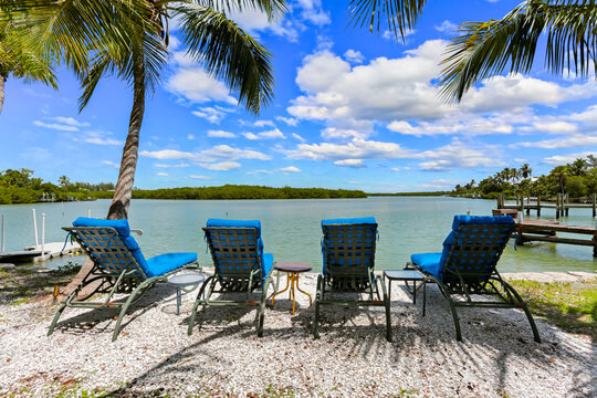Lanai Chairs Lined Up Along the Bay with Clear Water and a Blue Sky with Palm Trees and Mangroves Surrounding in Sanibel Island, Florida