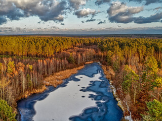 Las jesienno zimową porą.Zdjęcie z drona
