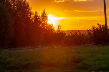 Sunset through trees