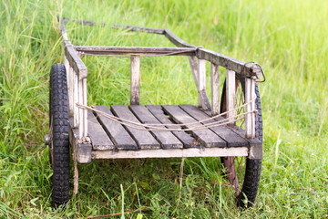 Fototapeta premium Trolley Fun