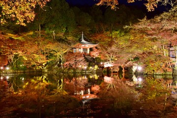 京都 醍醐寺　紅葉ライトアップ