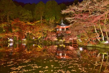 京都 醍醐寺　紅葉ライトアップ