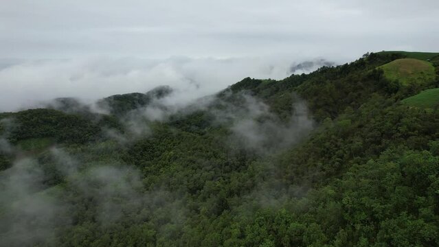 Aerial landscape view of greenery rainforest and hills on foggy day by drone